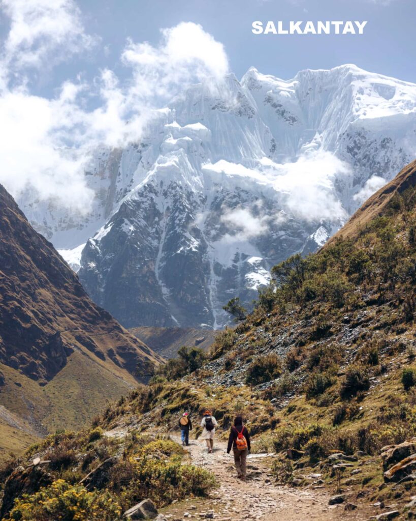 This image has an empty alt attribute; its file name is 015-819x1024.jpg